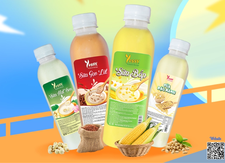 Sữa hạt là gì? Vì sao ngày càng được yêu thích trong đời sống hiện đại?
